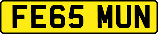 FE65MUN
