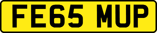 FE65MUP