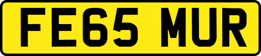 FE65MUR
