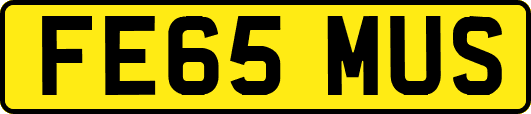 FE65MUS