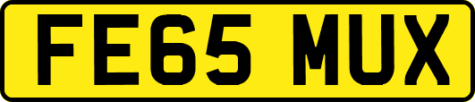 FE65MUX