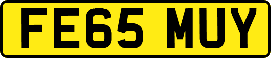 FE65MUY