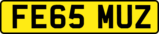 FE65MUZ