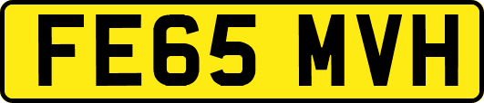 FE65MVH