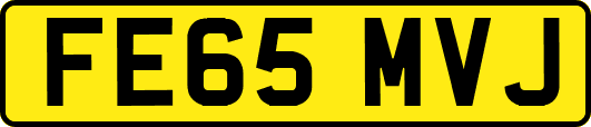 FE65MVJ