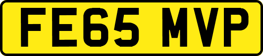 FE65MVP