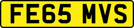 FE65MVS