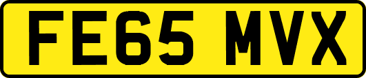 FE65MVX