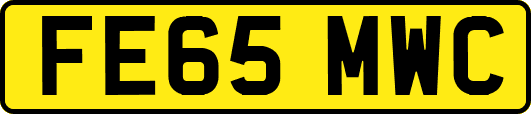 FE65MWC