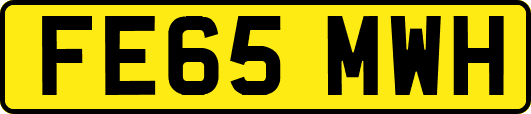 FE65MWH