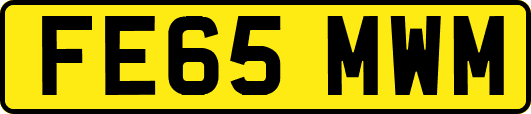 FE65MWM