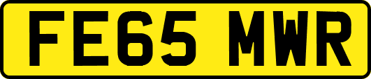 FE65MWR