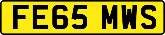 FE65MWS