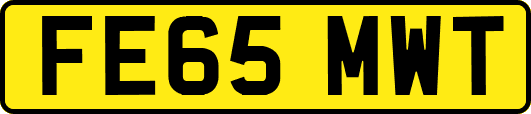 FE65MWT