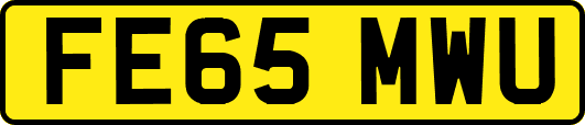 FE65MWU