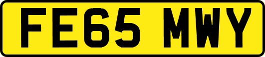 FE65MWY