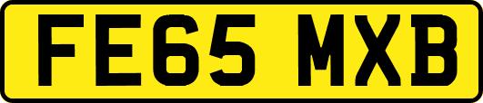 FE65MXB