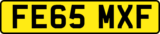 FE65MXF
