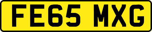 FE65MXG