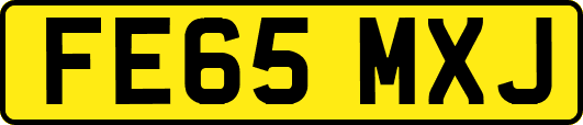 FE65MXJ