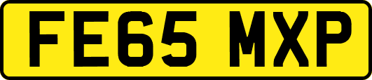 FE65MXP