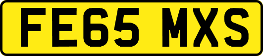FE65MXS