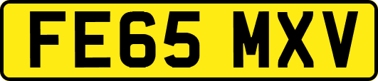 FE65MXV