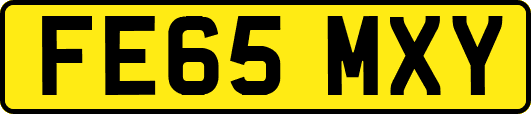 FE65MXY