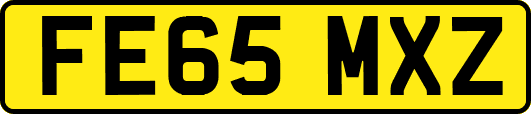 FE65MXZ