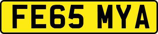 FE65MYA