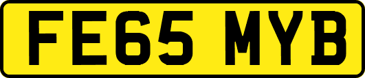 FE65MYB