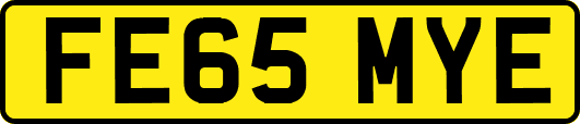 FE65MYE