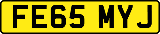 FE65MYJ