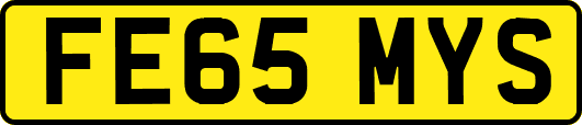 FE65MYS