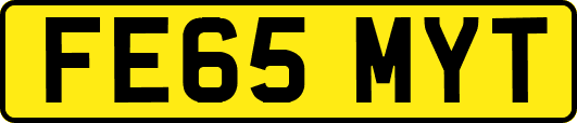 FE65MYT