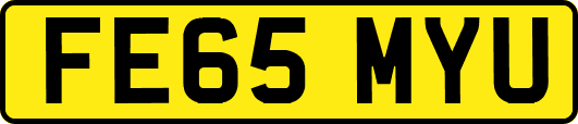 FE65MYU