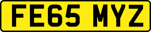 FE65MYZ