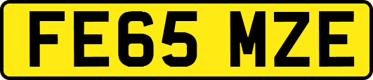 FE65MZE
