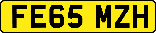 FE65MZH
