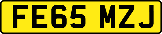 FE65MZJ