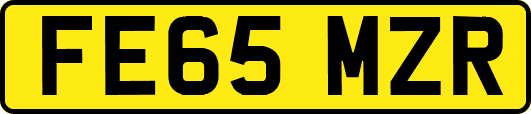 FE65MZR