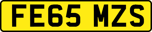 FE65MZS