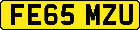 FE65MZU