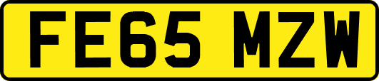 FE65MZW