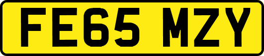 FE65MZY