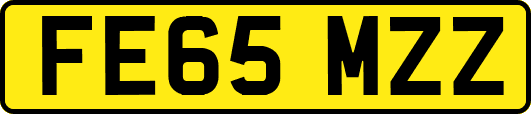 FE65MZZ