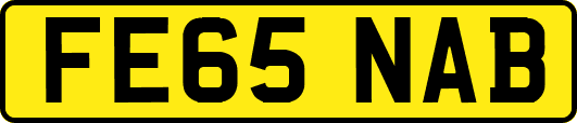 FE65NAB