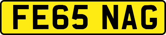 FE65NAG