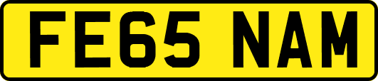 FE65NAM