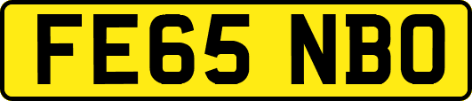 FE65NBO